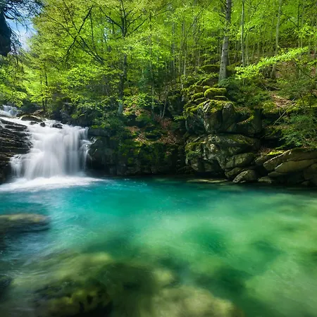 Calma By Bevalle Apartment