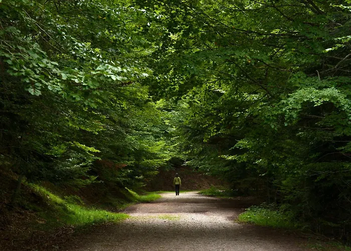 Apartment Calma By Bevalle Panticosa